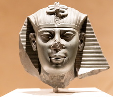 MUSEEN