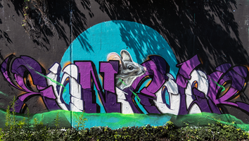 Graffitis